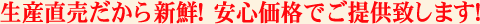 ���Y����������V�N! ���S���i�ł��񋟒v���܂�!